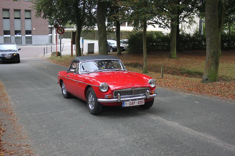 Puur Hageland (164).JPG
